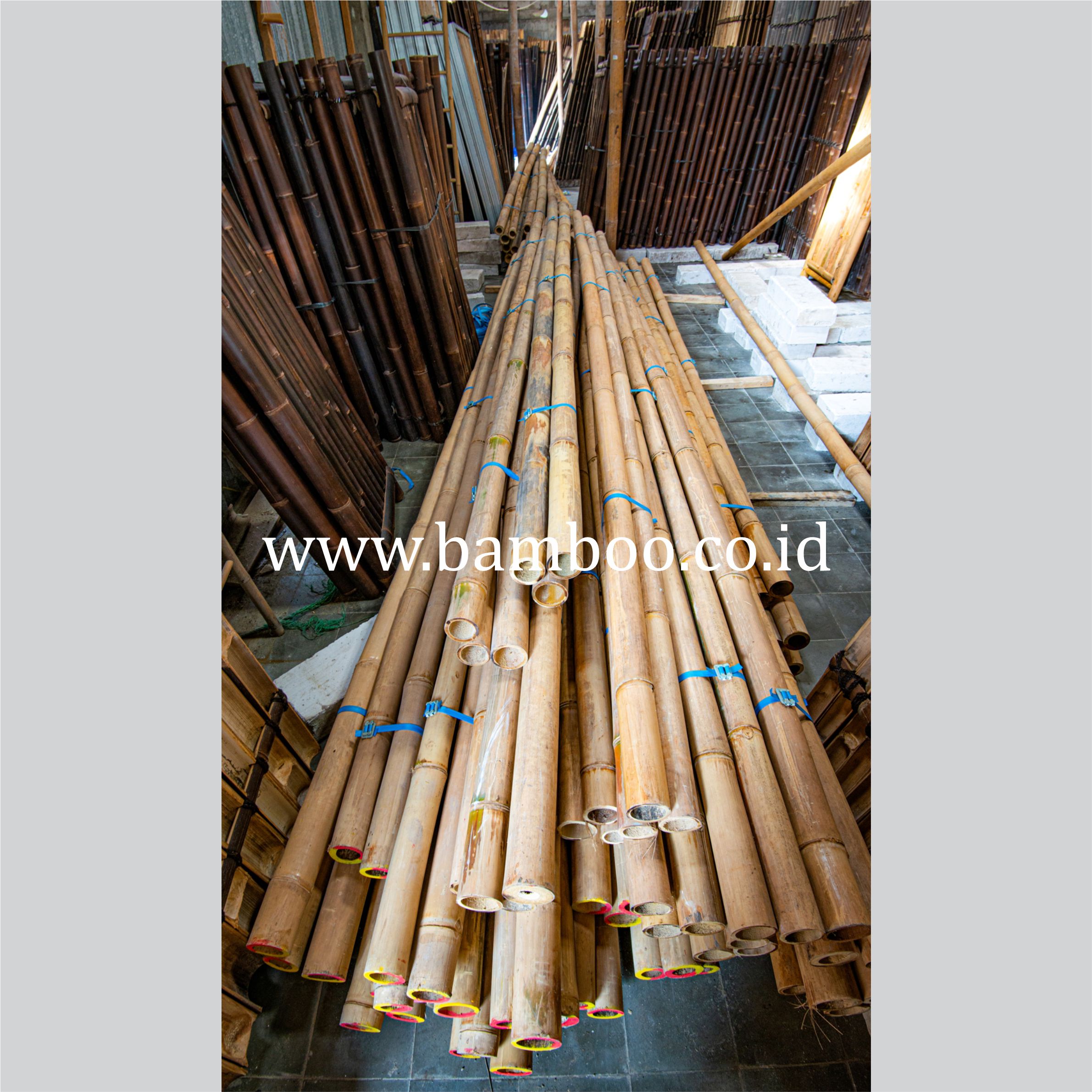 Bamboo Poles for Construction and Home Decor | Natural 2 - 4 Meter Natural Color